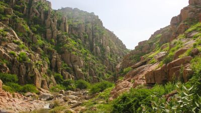 बारिश का दृश्य — सावन की हरियाली और सुंदरता